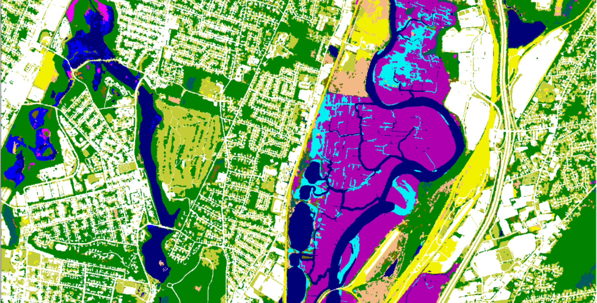 C-CAP (1-meter) Land Cover